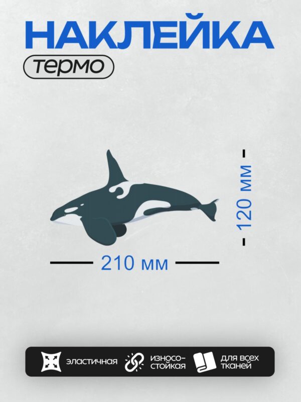 Термонаклейка на одежду DTF / Косатка плывёт в воде.