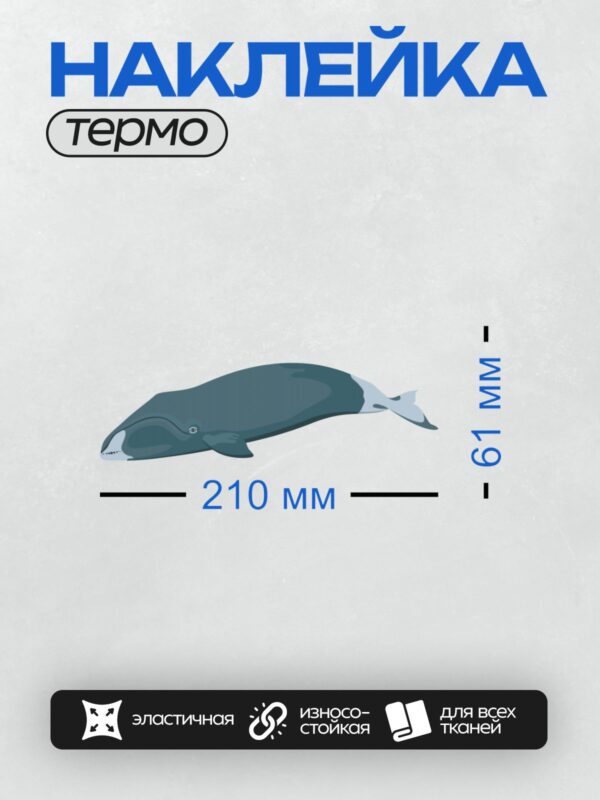 Термонаклейка на одежду DTF / Синий кит, стилизованный рисунок в мультяшном стиле.