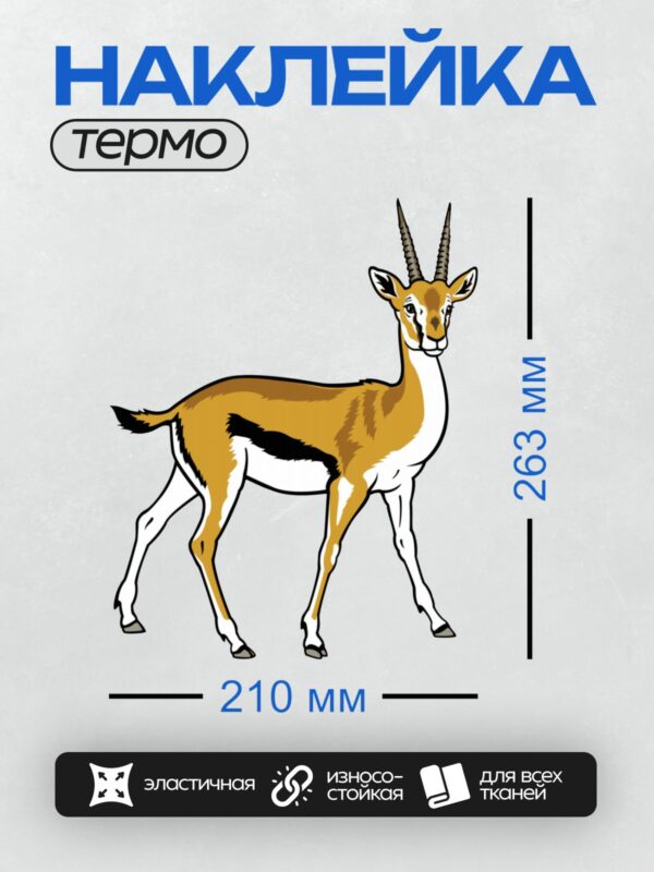 Термонаклейка на одежду DTF / Антилопа с длинными рогами, стройными ногами и коричнево-белой окраской.
