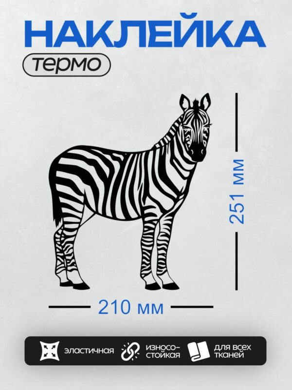 Термонаклейка на одежду DTF / Черно-белая зебра в контурном стиле.