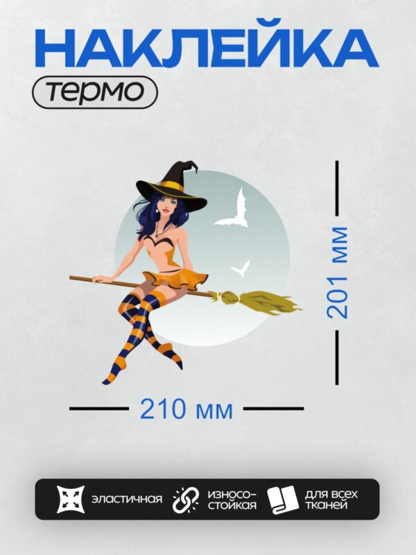 Термонаклейка на одежду DTF / Ведьма на метле в ярком костюме и шляпе.