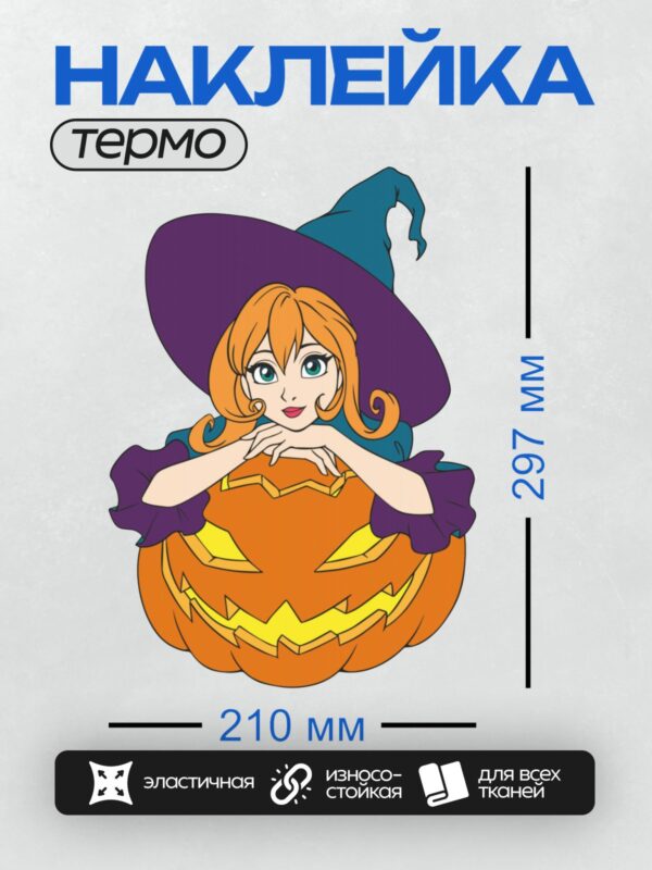 Термонаклейка на одежду DTF / Мультяшная ведьма в шляпе сидит на тыкве-фонаре.