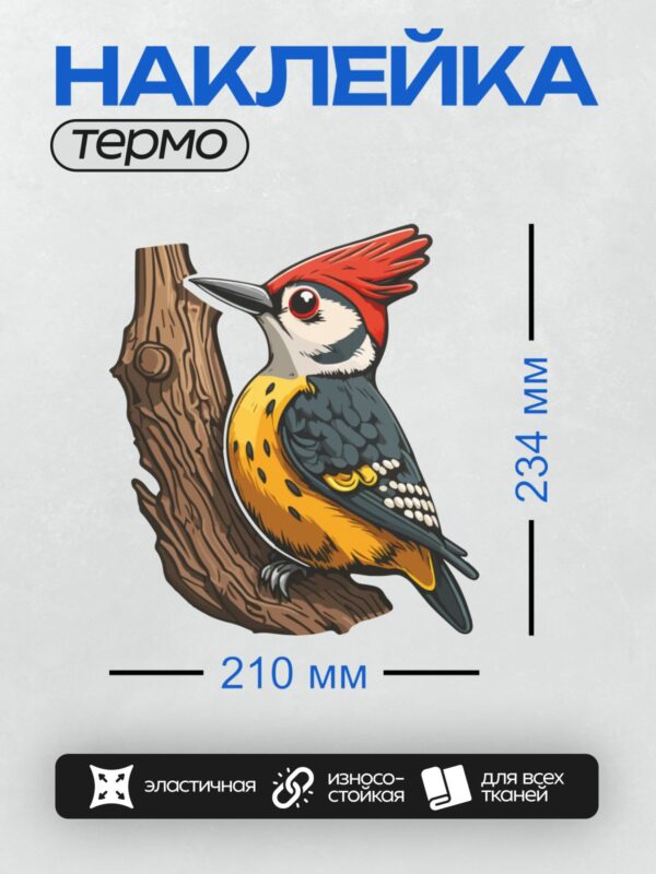 Термонаклейка на одежду DTF / Малый пёстрый дятел на ветке дерева.