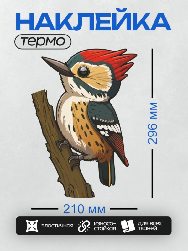 Термонаклейка на одежду DTF / Официантка в красной жилетке держит поднос.