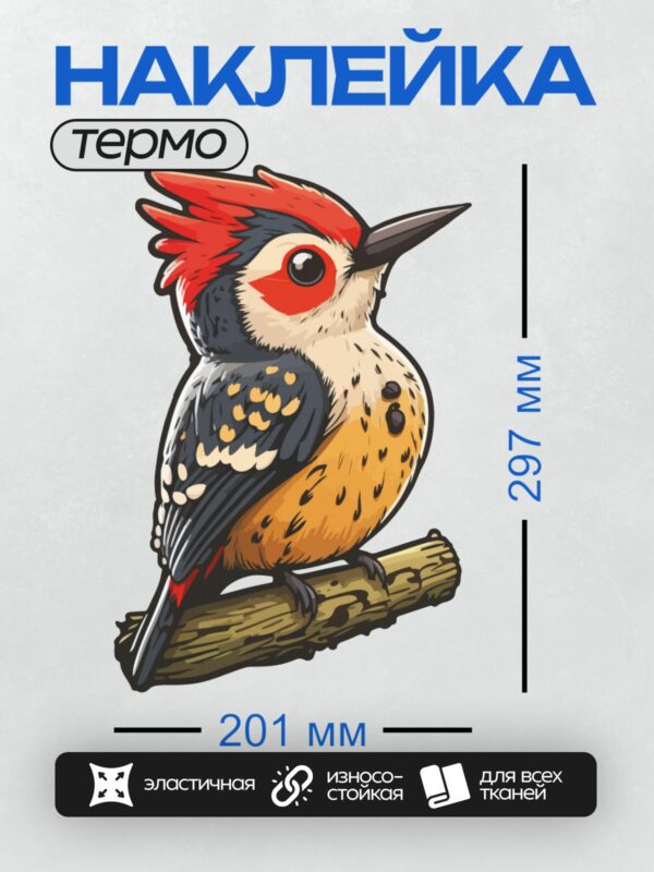 Термонаклейка на одежду DTF / Мультяшный средний пёстрый дятел на ветке.
