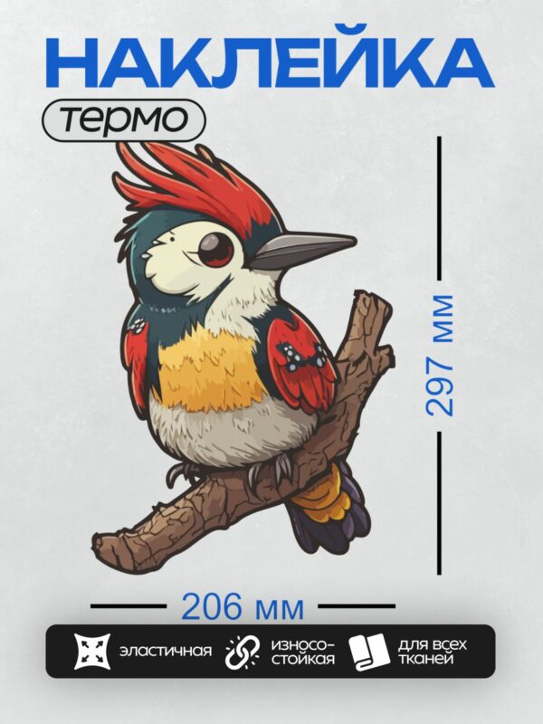 Термонаклейка на одежду DTF / Мультяшный большой пёстрый дятел на ветке.