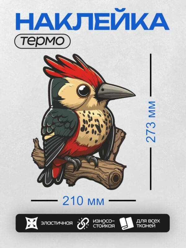 Термонаклейка на одежду DTF / Малый пёстрый дятел на ветке дерева.