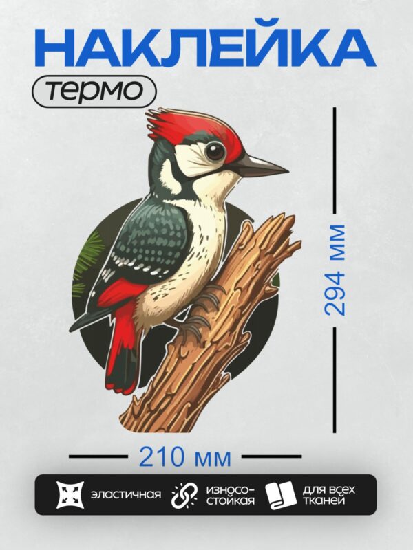 Термонаклейка на одежду DTF / Дятел с красным хохолком на ветке.