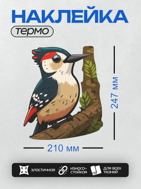 Термонаклейка на одежду DTF / Мультяшный дятел с красным хохолком на ветке.