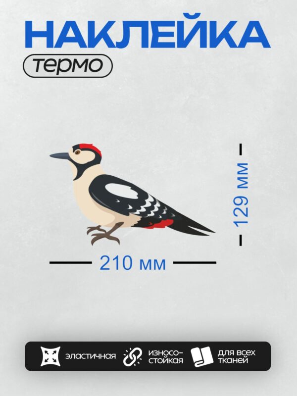 Термонаклейка на одежду DTF / Мультяшный дятел с красным хохолком.
