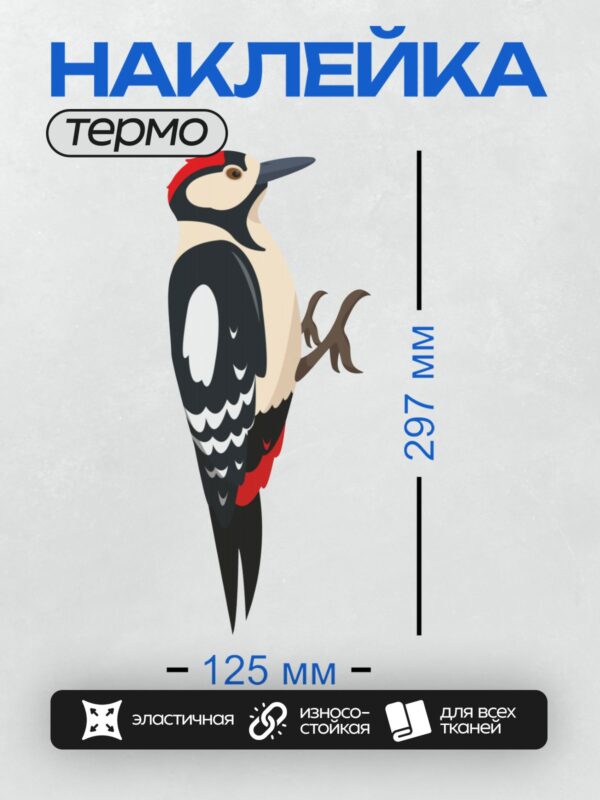 Термонаклейка на одежду DTF / Мультяшный большой пёстрый дятел на ветке.