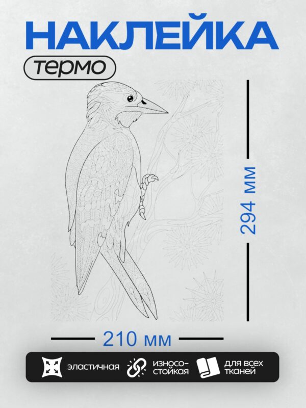 Термонаклейка на одежду DTF / Дятел на ветке с узорами, антистресс-раскраска.