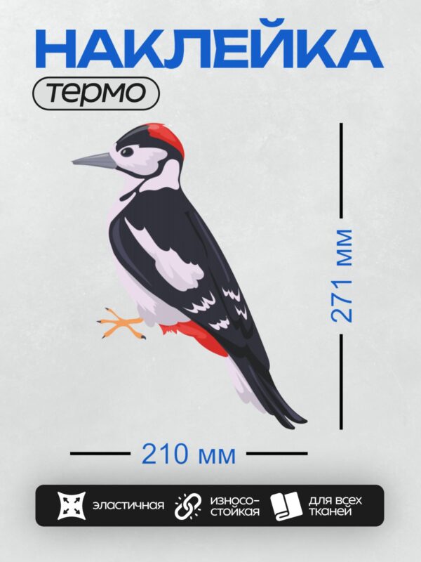 Термонаклейка на одежду DTF / Малый пёстрый дятел с красным хохолком.