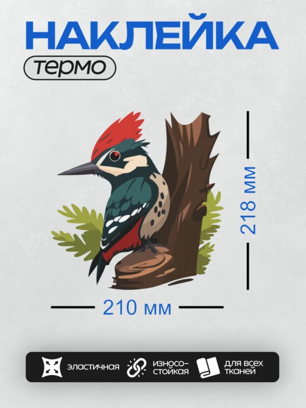 Термонаклейка на одежду DTF / Дятел с красным хохолком сидит на ветке дерева.