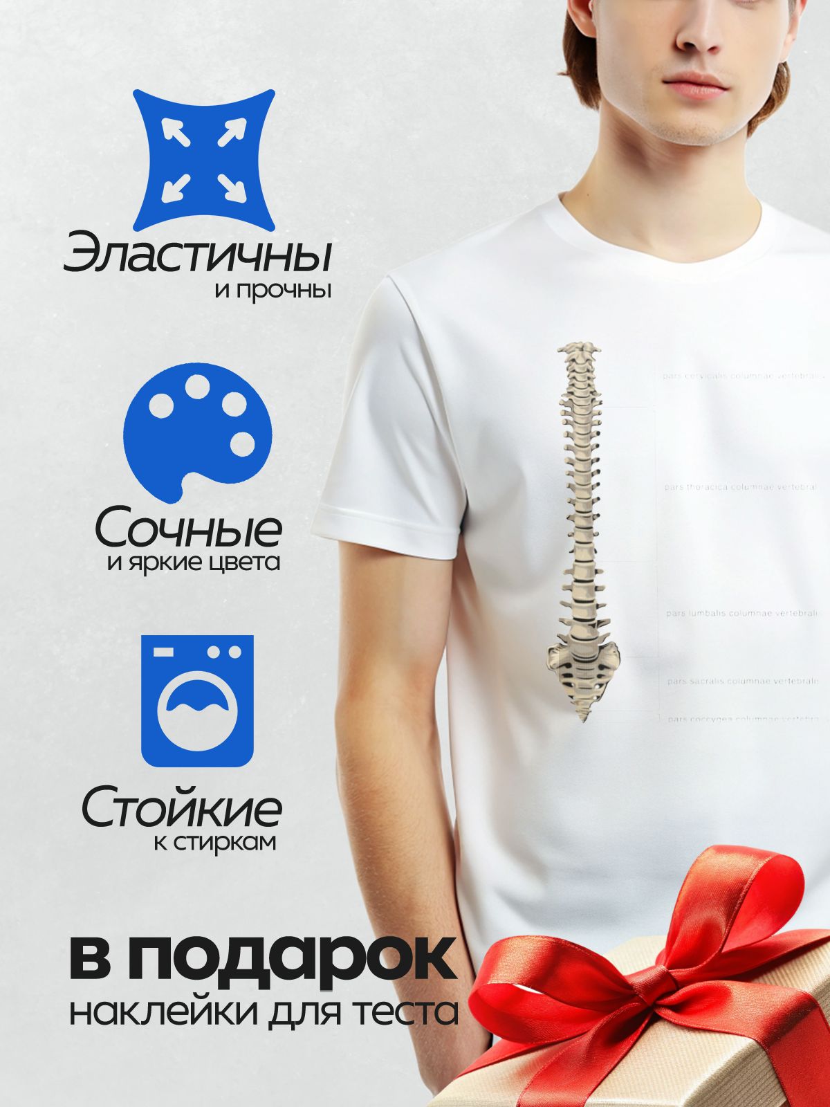 Термонаклейка на одежду DTF / Позвоночник человека в боковой проекции с подписями.