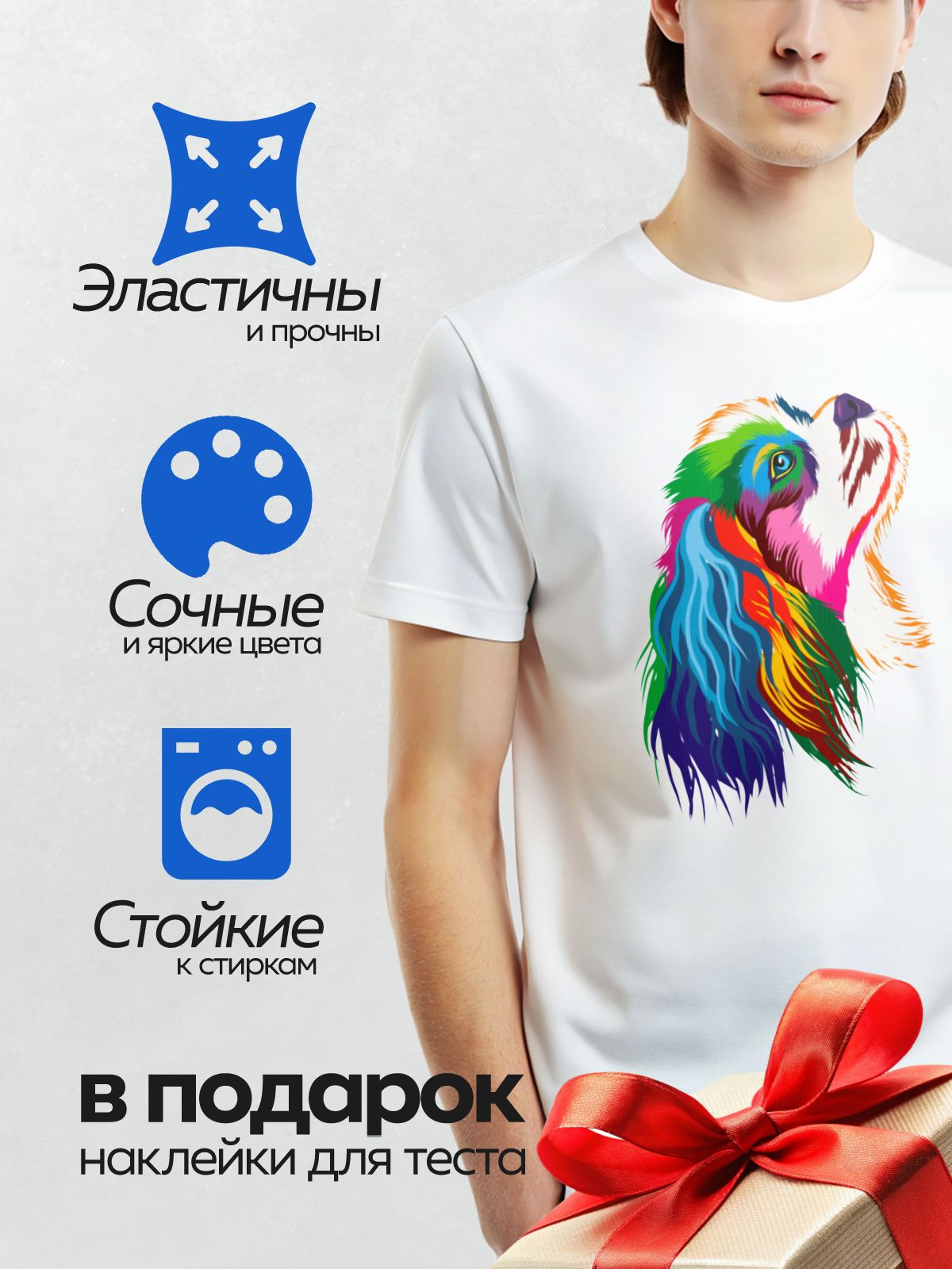 Термонаклейка на одежду DTF / Радужный попугай с яркими разноцветными перьями.