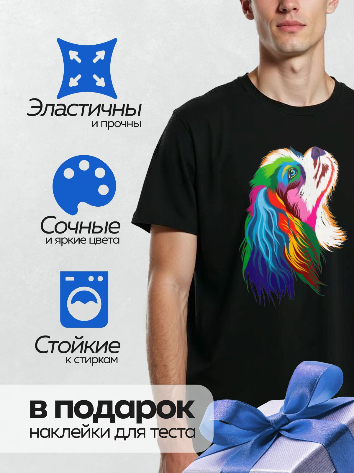 Термонаклейка на одежду DTF / Радужный попугай с яркими разноцветными перьями.