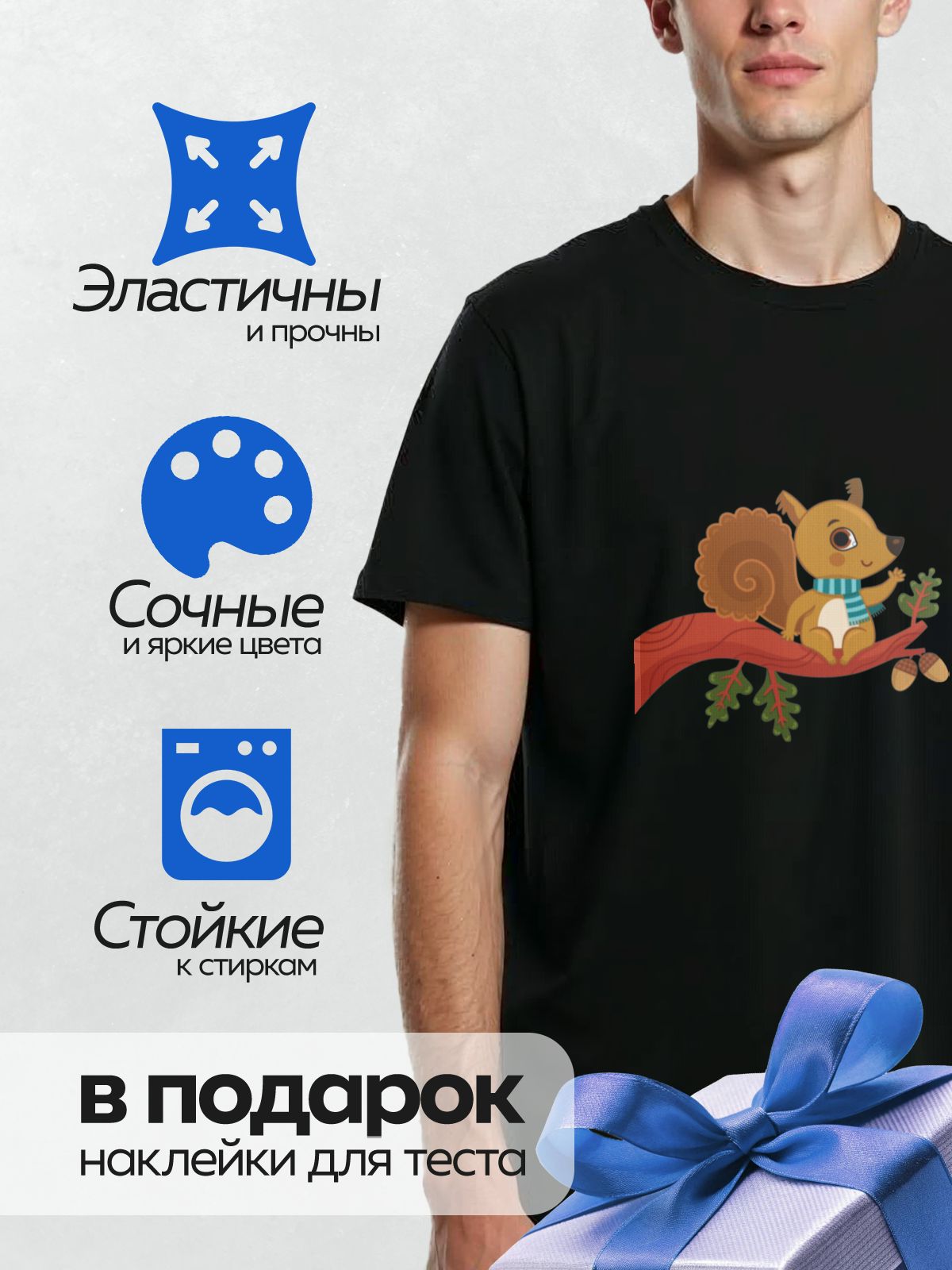 Термонаклейка на одежду DTF / Белка в шарфе сидит на ветке с желудями.